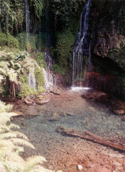 waterfall on the Marangu trail