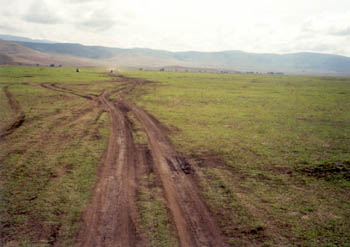 muddy tracks in Ngorongoro Crater