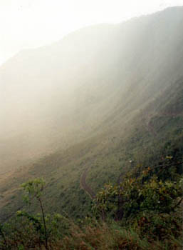 misty Ngorongoro Crater