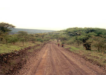 Tanzania road