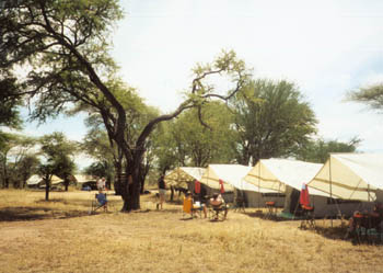 tents at safari camp