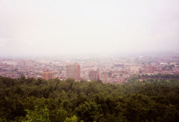 Montreal from Mont Royale