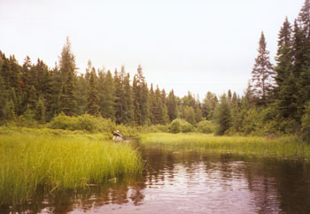 on Otterslide Creek