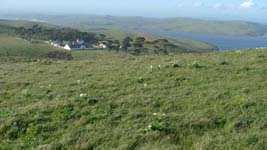 McClures Ranch, Point Reyes