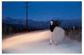 early morning encounter with tumbleweed, by Beckett
