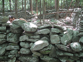 mike, stone wall; by joy