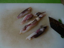 bonus squid inside the tuna (just 10 hours since it was caught!)
