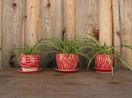 joy's handmade plant pots