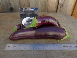 eggplant harvest