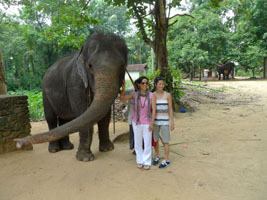 after elephant ride