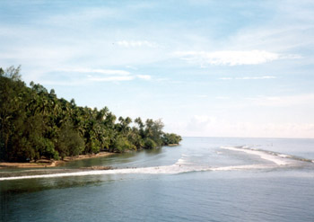 the ferry wake coming ashore