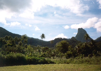 first steps on Moorea