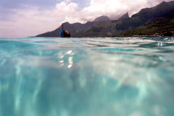 snorkeling off Moorea