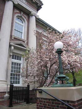 spring at RPI