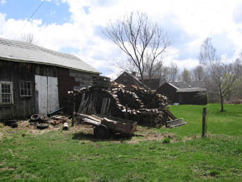 the wood pile