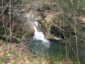 the best swimming hole in the brook