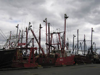 fishing boats in New Bedford, MA