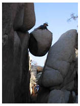 boulder gremlin