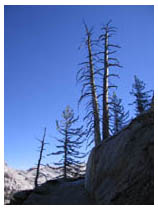 on the trail to heather lake