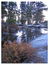 pear lake scenery