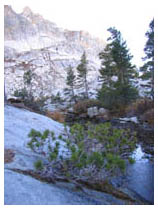 pear lake scenery