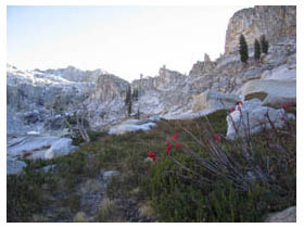 pear lake scenery