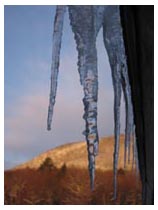 icicles