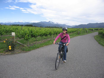 bicycling through vineyards, Marlborough, New Zealand