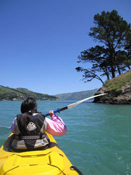 kayaking at Akaroa, New Zealand