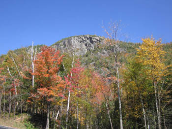 October leaves near Keene Valley, New York