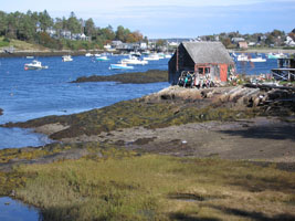 lobster fisherman's shack, Harpswell, Maine