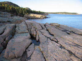 Acadia shore