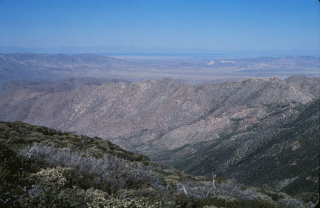 view from Mt Laguna