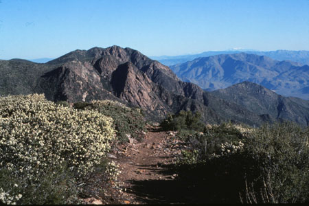 Mt San Jacinto in the distance