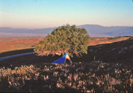 Camp in San Jose Valley