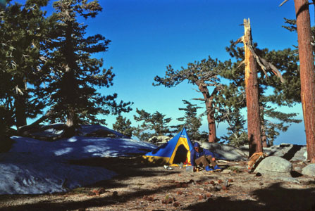 Camp in San Jacinto State Park