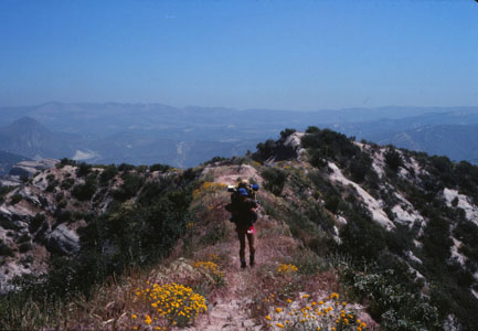 On the trail north of Cajon Pass