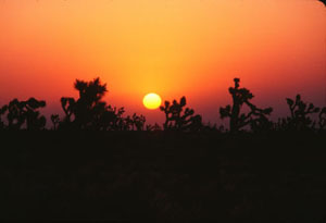 Pacific Crest Trail 1978 