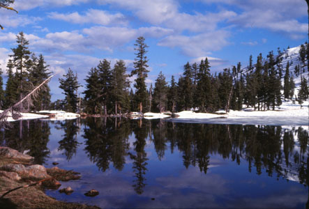 Toad Lake