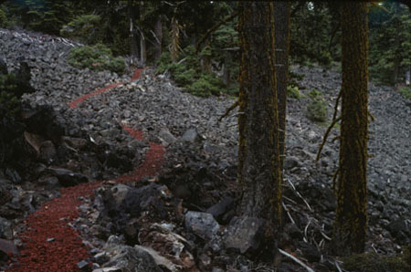 trail through lava