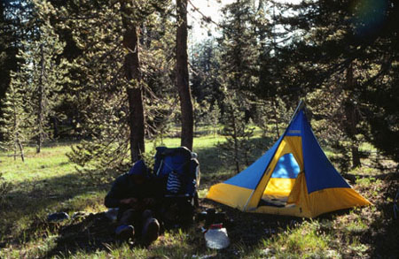 Camp at Red Cone Spring