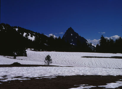 Mt Thielson snowfield