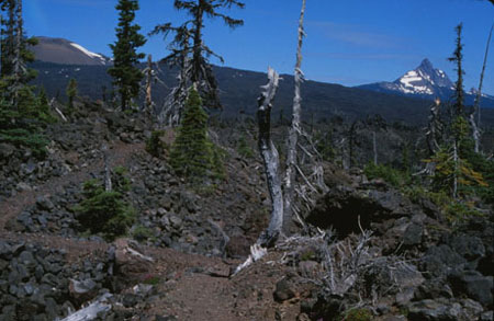 Trail through the lava beds