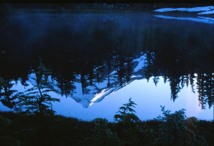 Reflections of Mt Jefferson