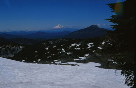 Mt Hood