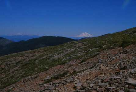 Mt Rainier