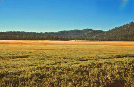 Big Meadow
