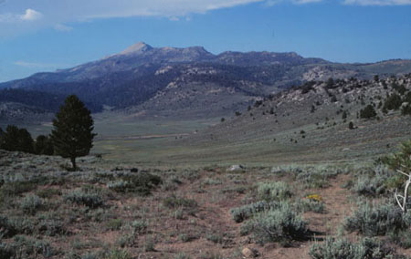 Into the Sierras