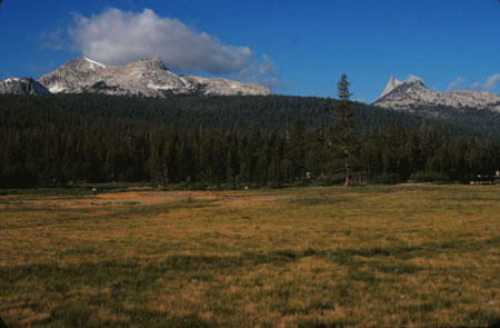 Tuolumne Meadows, Yosemite Park