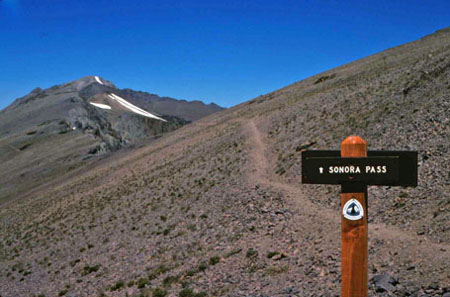 South of Sonora Pass